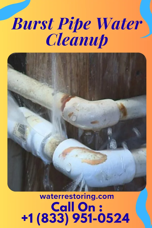 Burst Pipe Water Cleanup in Wheatland, MO