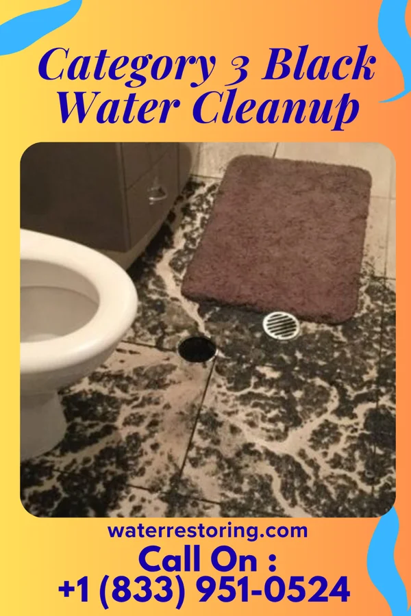 Category 3 Black Water Cleanup in Wheatland, MO